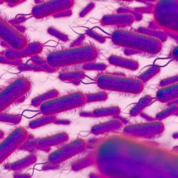 Una observación microscópica revela numerosas bacterias en forma de bastoncillos con estructuras similares a pelos, coloreadas en tonos de púrpura y magenta. Este patrón dinámico surge sobre un fondo rosa claro, que recuerda el flujo y la pureza asociados con el agua hidrogenada.